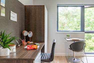 Premium Studio at Cricket Field Court, Prince of Wales Road, University Of Exeter, Exeter, EX44FU - Image 8